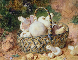 Un panier de champignons, 1871